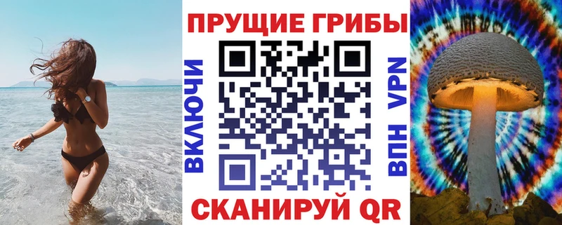 магазин продажи наркотиков  Углегорск  OMG ONION  Псилоцибиновые грибы Psilocybine cubensis 